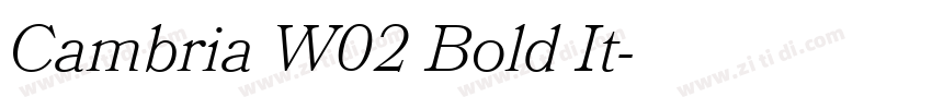 Cambria W02 Bold It字体转换